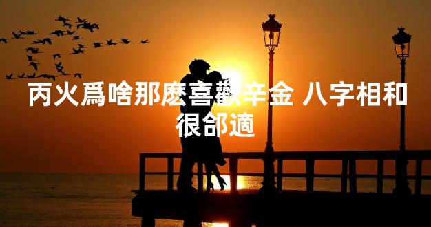 丙火爲啥那麽喜歡辛金 八字相和很郃適